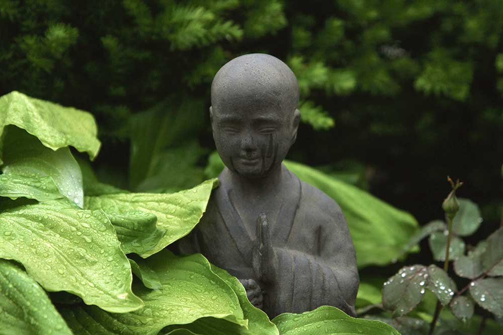Jardin Zen